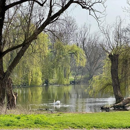Strasbourg, Appartement Cosy Au Bord De L Eau Bagian luar foto