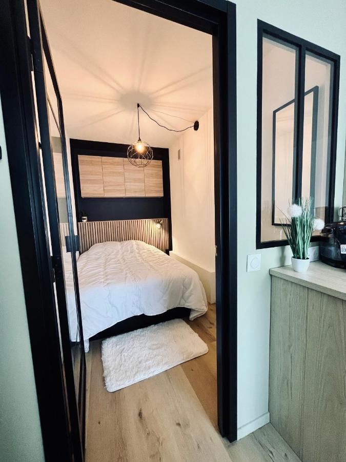 Strasbourg, Appartement Cosy Au Bord De L Eau Bagian luar foto