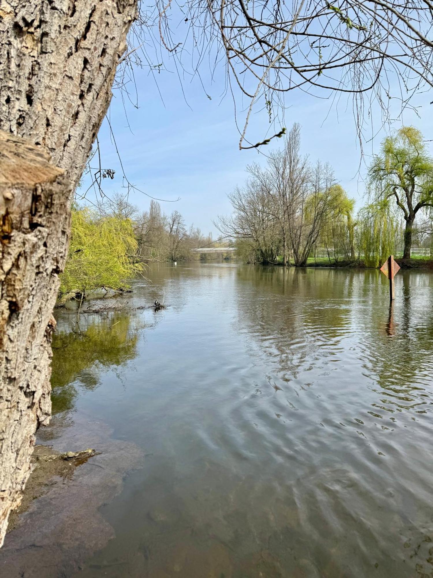 Strasbourg, Appartement Cosy Au Bord De L Eau Bagian luar foto